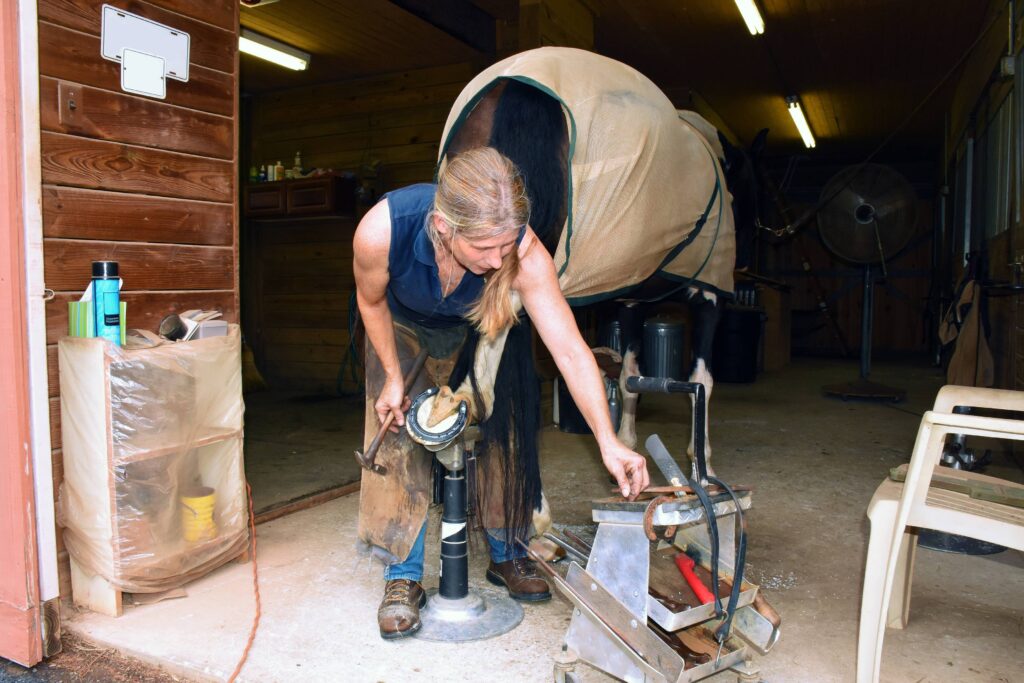 woman farrier checking horseshoe