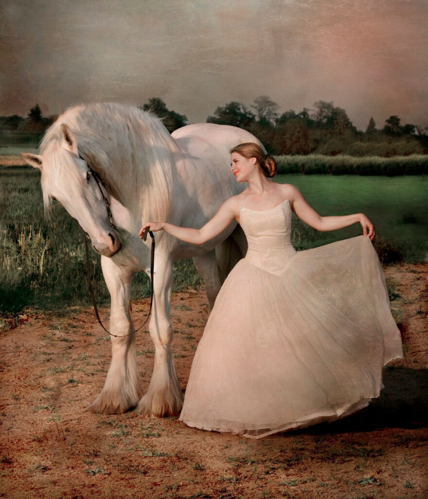 woman holding white Shire Horse