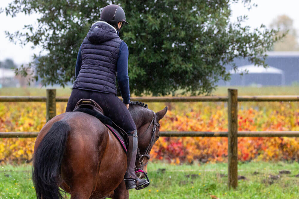 woman in training with a horse