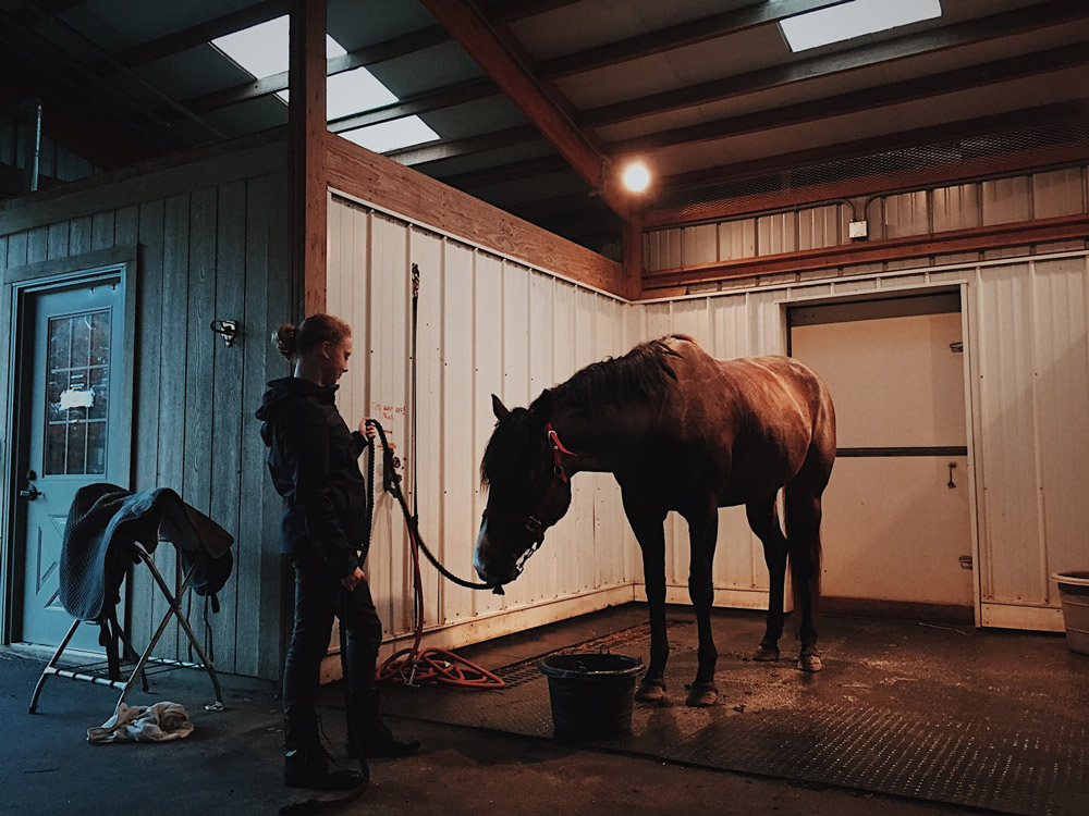 woman is bathing a tied horse