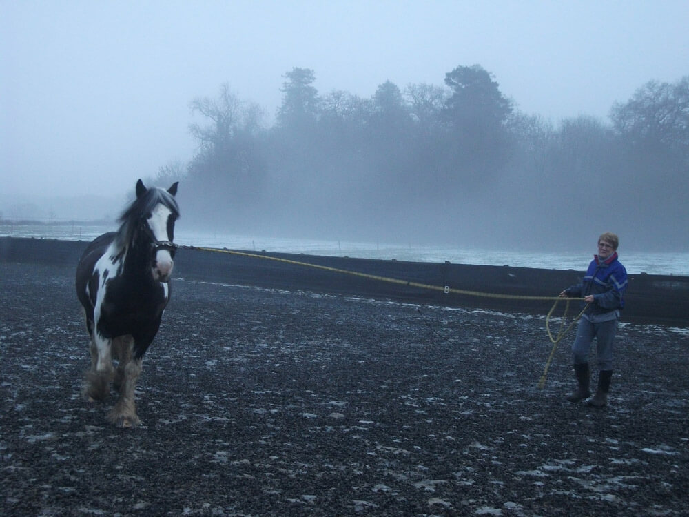 woman is breaking in adult horse