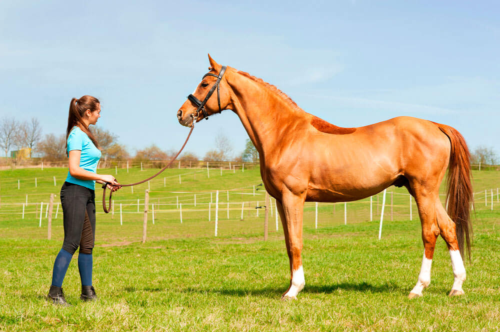 woman is holding lunging rope