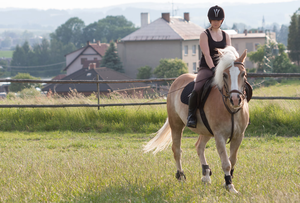 woman is riding Haflinger Horse