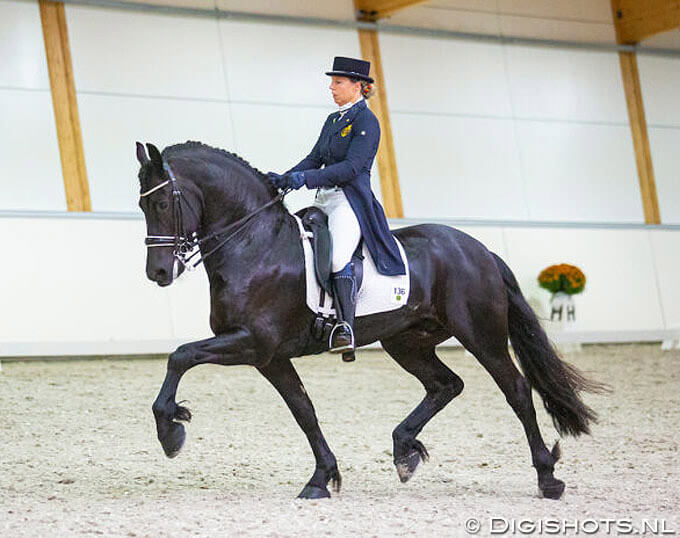 woman is taking part in dressage with her friesian