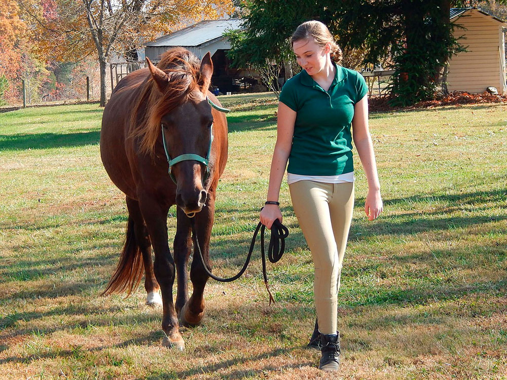 woman leading Tennessee Walking Horse