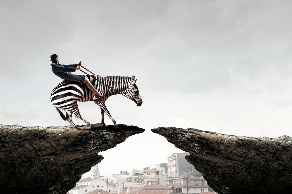 woman riding zebra