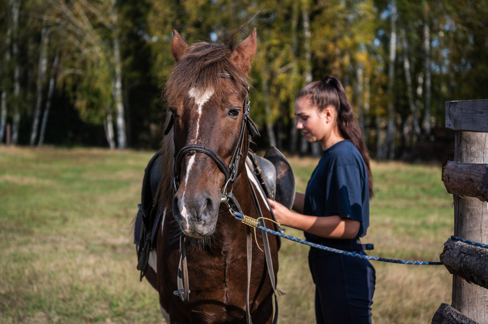 woman tacking up horse with saddle