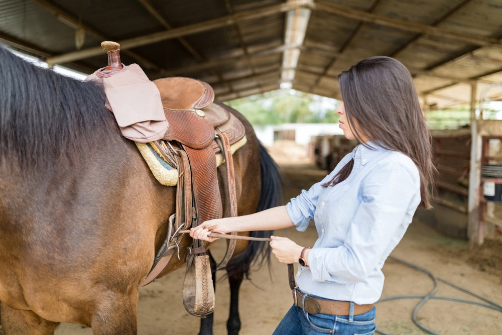 woman tightening horse cinch