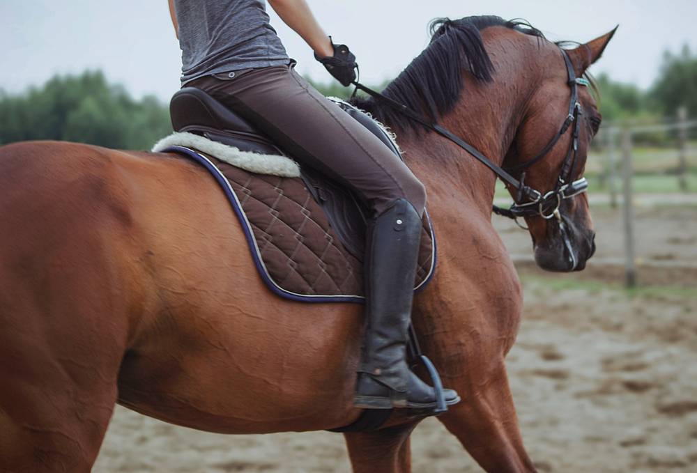 woman wearing brown breeches