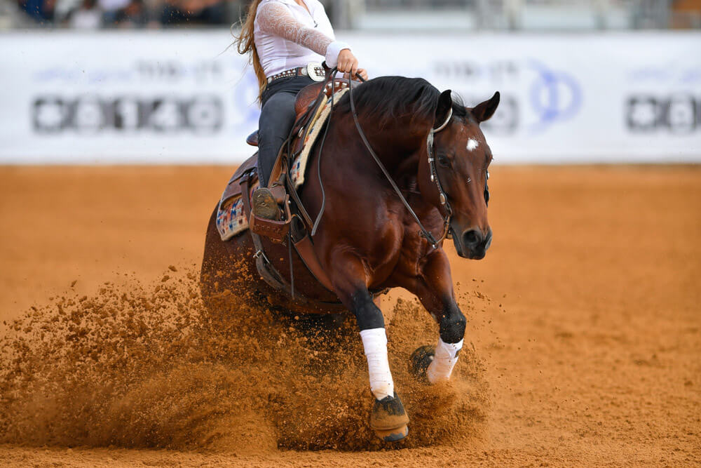 woman western horse riding