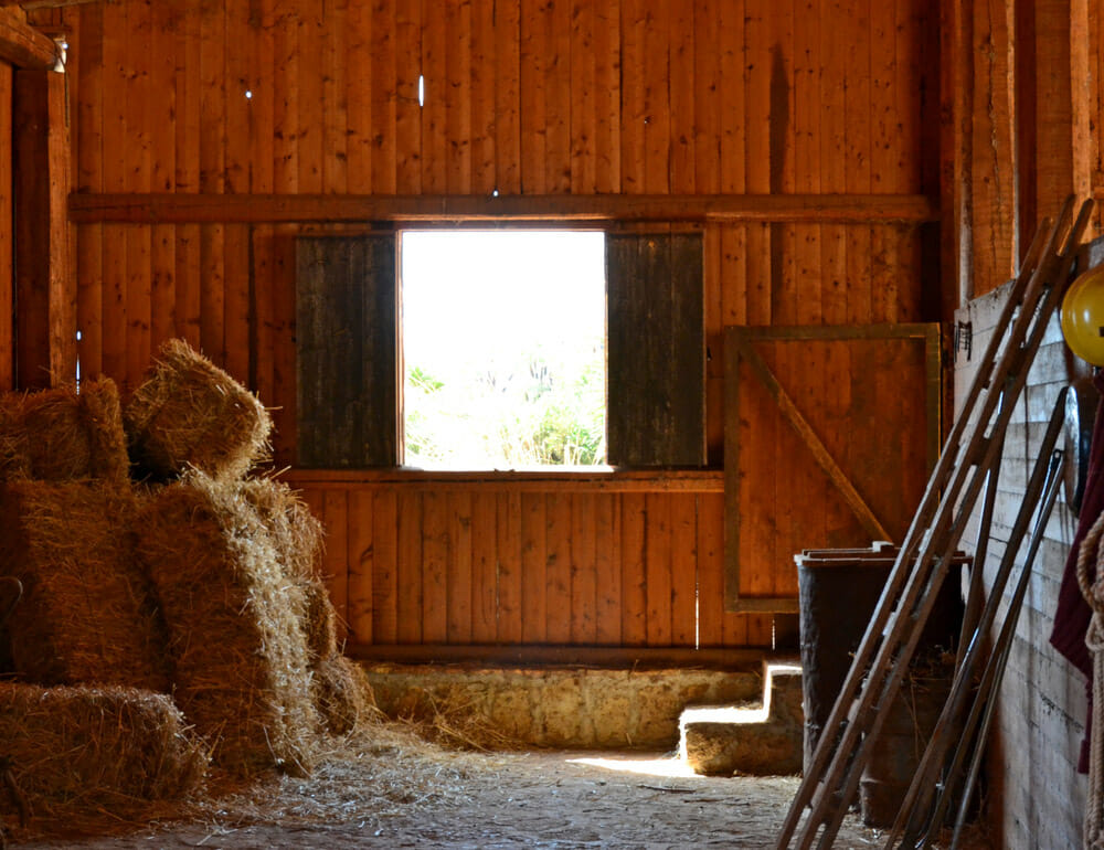 wooden horse barn with hay inside