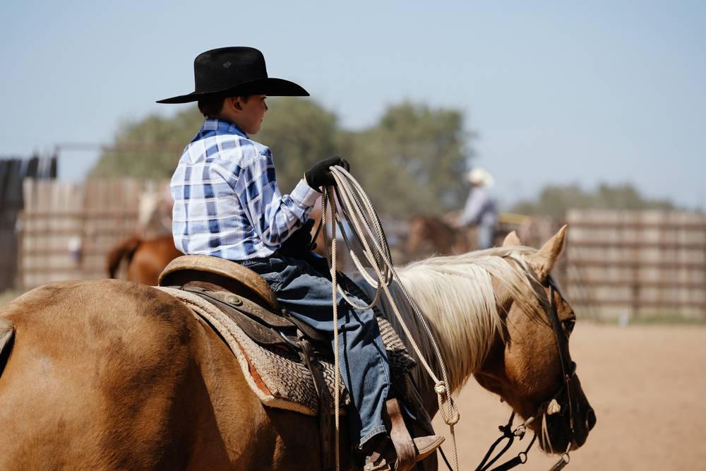 young cowboy rider on palomino horse