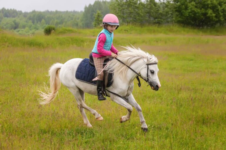 5 Best Horse Riding Boots for Kids in 2023 • Horsezz